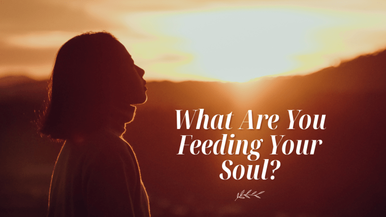 What Are You Feeding Your&nbsp;Soul?